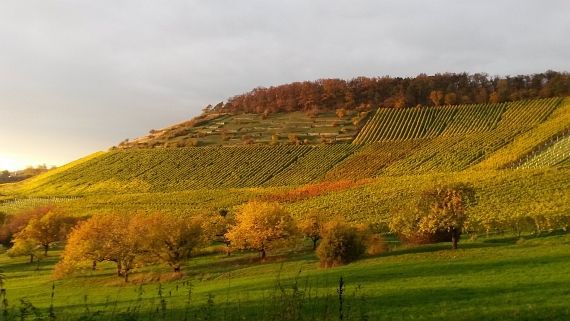 Herbststimmung