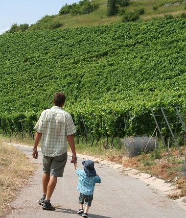 Ferien Schützingen Urlaub Ferien Schützingen Urlaub