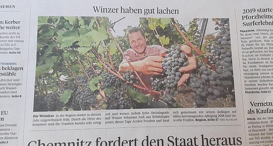 Pforzheimer Zeitung v. 29.8.18